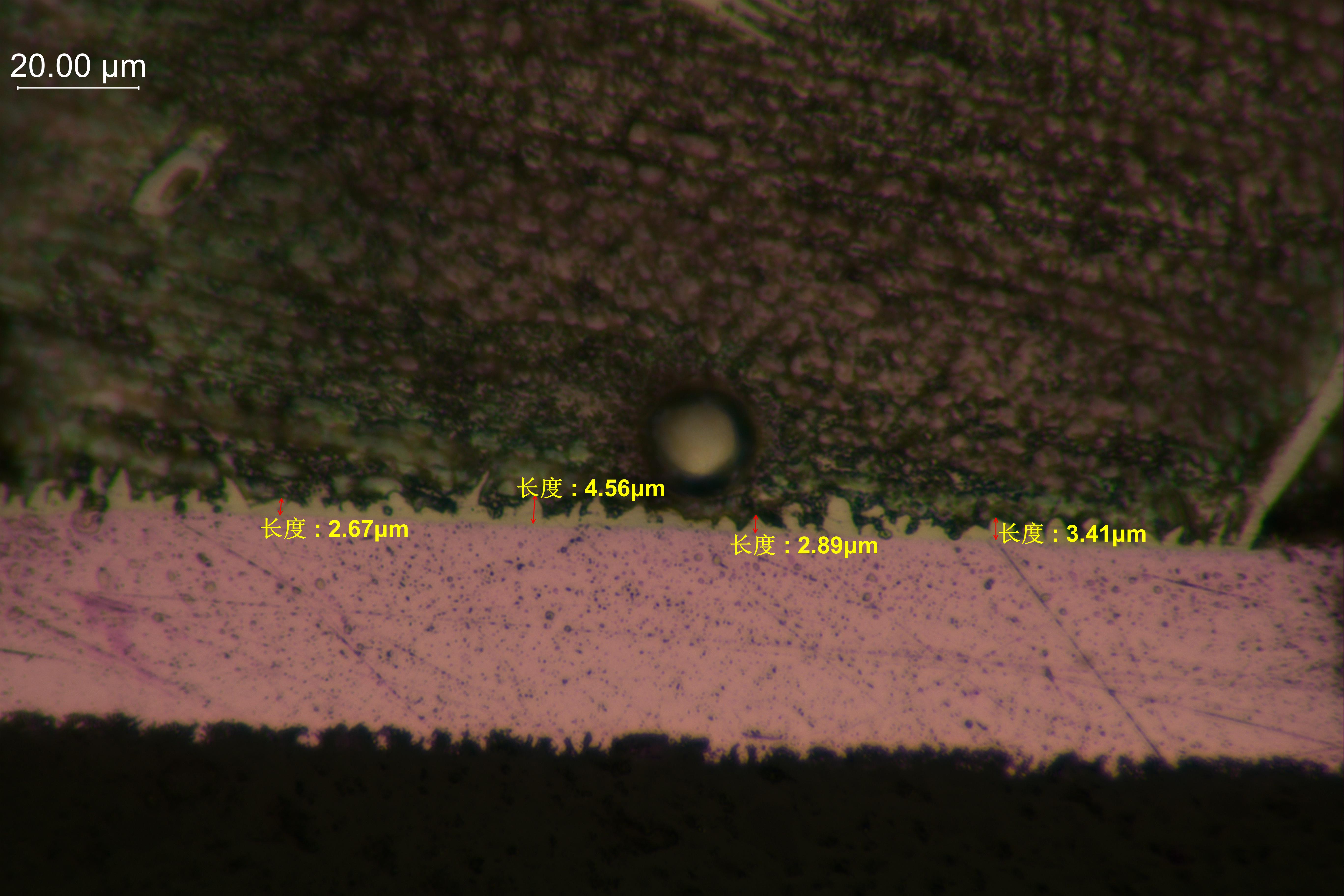利用鏡檢法觀(guān)察 IMC 層教程